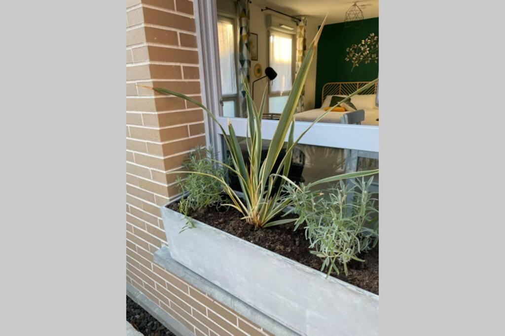 Minimes, Studio Cosy Tout Confort, Wifi, Parking Apartman Toulouse Kültér fotó